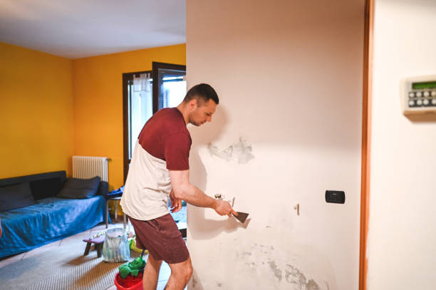 Best Emergency Mold Remediation in Frewsburg, NY
